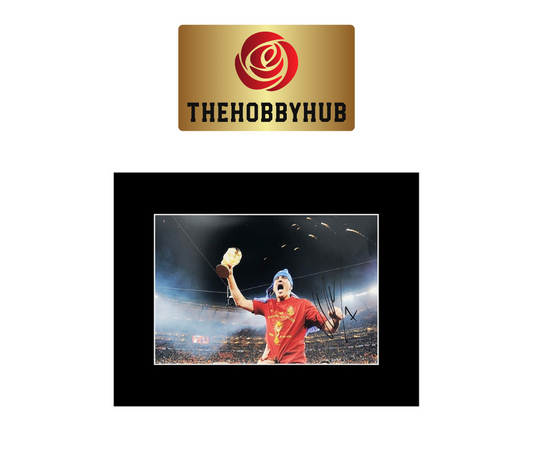 Signed David Villa Photo Display - Spain World Cup Winner -16x12